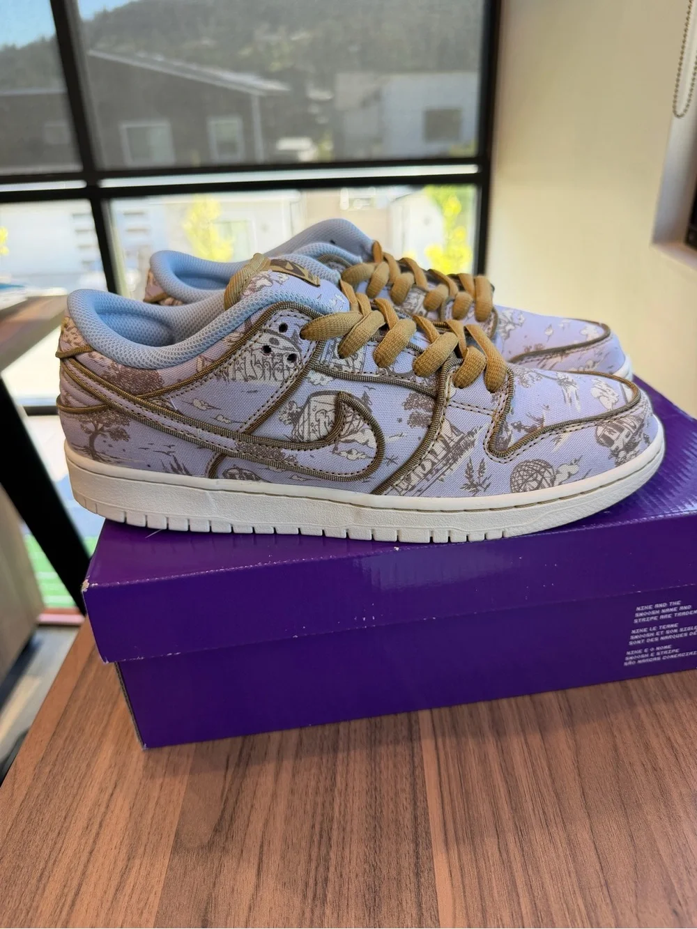 Nike SB Dunk Low “City of Style” Size 9 - Picture 3 of 7